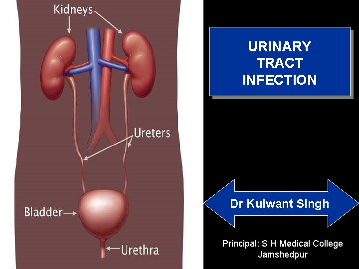 URINARY TRACT INFECTION Dr Kulwant Singh Principal: S H Medical College Jamshedpur 