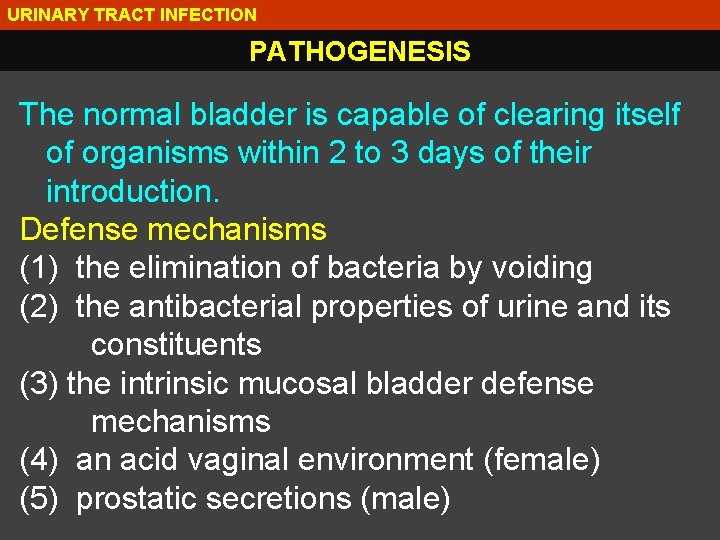 URINARY TRACT INFECTION PATHOGENESIS The normal bladder is capable of clearing itself of organisms