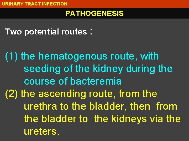 URINARY TRACT INFECTION PATHOGENESIS Two potential routes : (1) the hematogenous route, with seeding