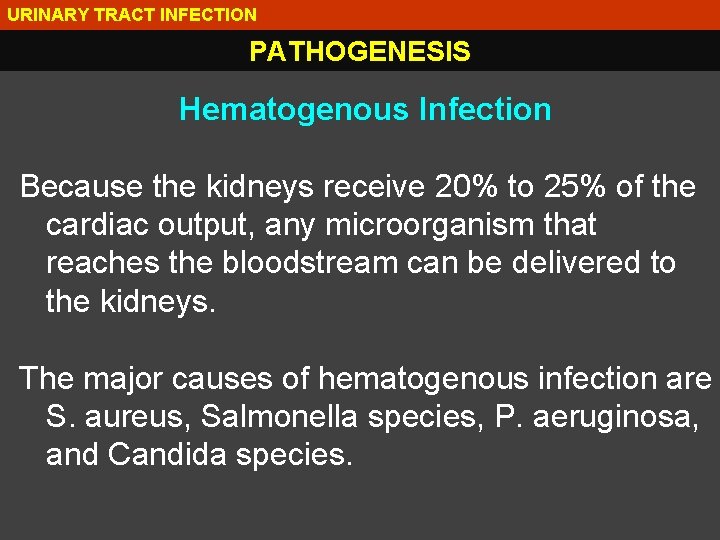 URINARY TRACT INFECTION PATHOGENESIS Hematogenous Infection Because the kidneys receive 20% to 25% of