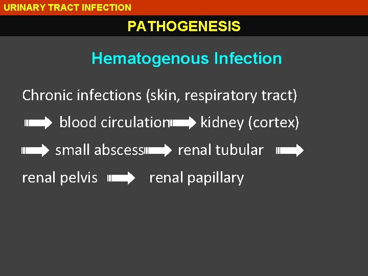 URINARY TRACT INFECTION PATHOGENESIS Hematogenous Infection Chronic infections (skin, respiratory tract) blood circulation small