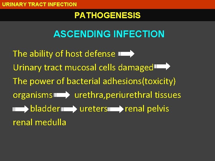URINARY TRACT INFECTION PATHOGENESIS ASCENDING INFECTION The ability of host defense Urinary tract mucosal