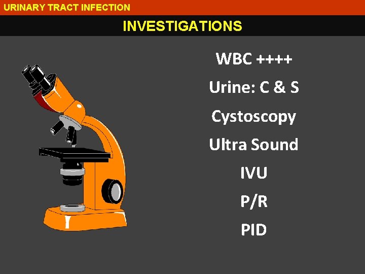 URINARY TRACT INFECTION INVESTIGATIONS WBC ++++ Urine: C & S Cystoscopy Ultra Sound IVU