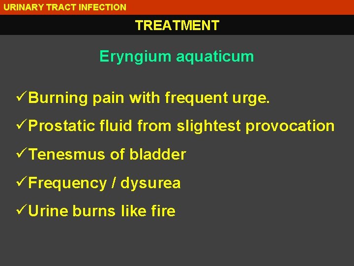 URINARY TRACT INFECTION TREATMENT Eryngium aquaticum üBurning pain with frequent urge. üProstatic fluid from