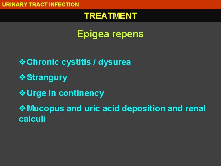 URINARY TRACT INFECTION TREATMENT Epigea repens v. Chronic cystitis / dysurea v. Strangury v.