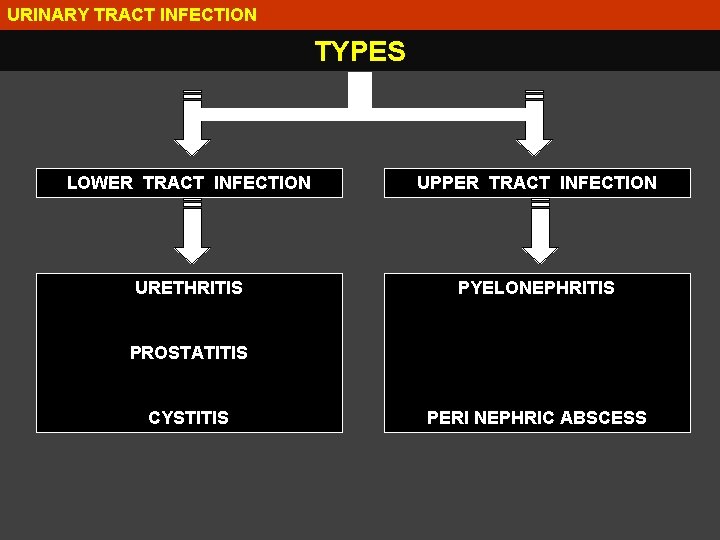 URINARY TRACT INFECTION TYPES LOWER TRACT INFECTION UPPER TRACT INFECTION URETHRITIS PYELONEPHRITIS PROSTATITIS CYSTITIS