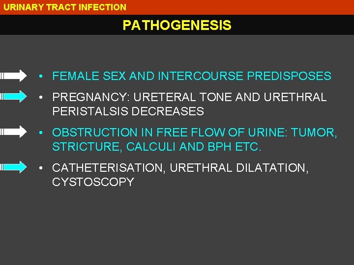 URINARY TRACT INFECTION PATHOGENESIS • FEMALE SEX AND INTERCOURSE PREDISPOSES • PREGNANCY: URETERAL TONE