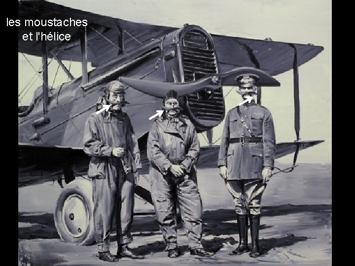 les moustaches et l'hélice 