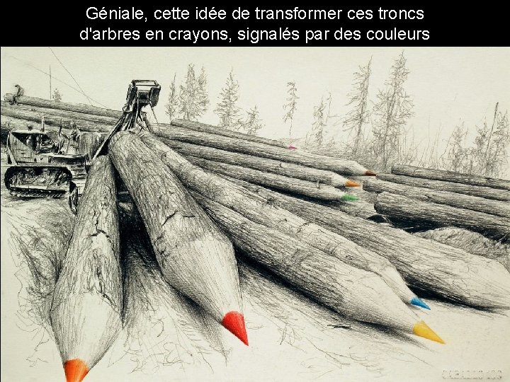 Géniale, cette idée de transformer ces troncs d'arbres en crayons, signalés par des couleurs