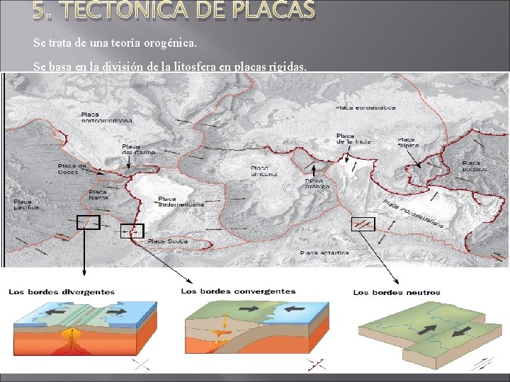 5. TECTÓNICA DE PLACAS Se trata de una teoría orogénica. Se basa en la