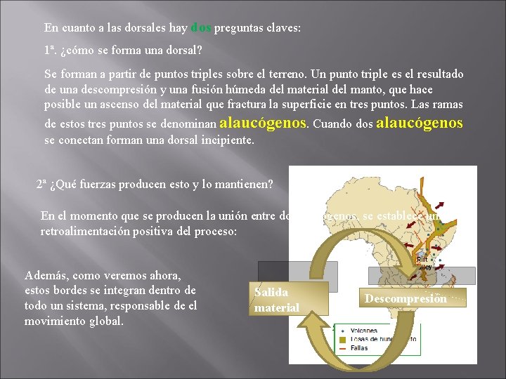 En cuanto a las dorsales hay dos preguntas claves: 1ª. ¿cómo se forma una