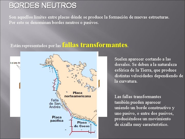 BORDES NEUTROS Son aquellos límites entre placas dónde se produce la formación de nuevas