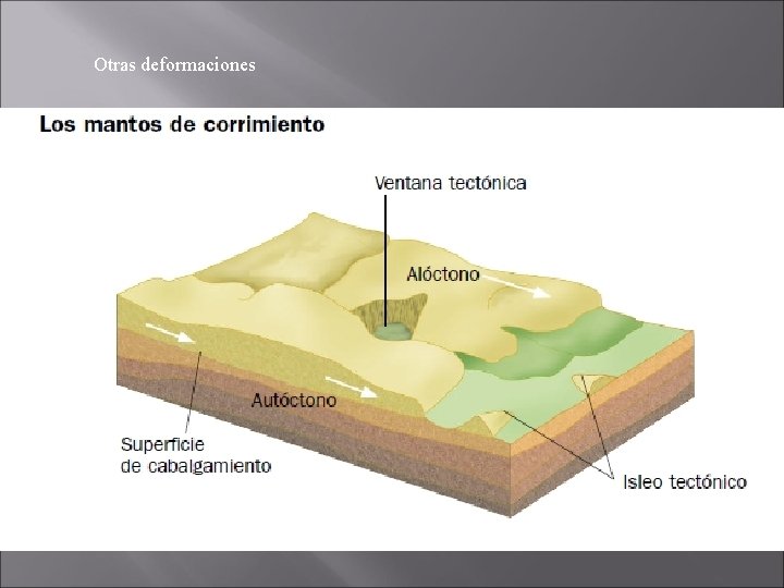 Otras deformaciones 