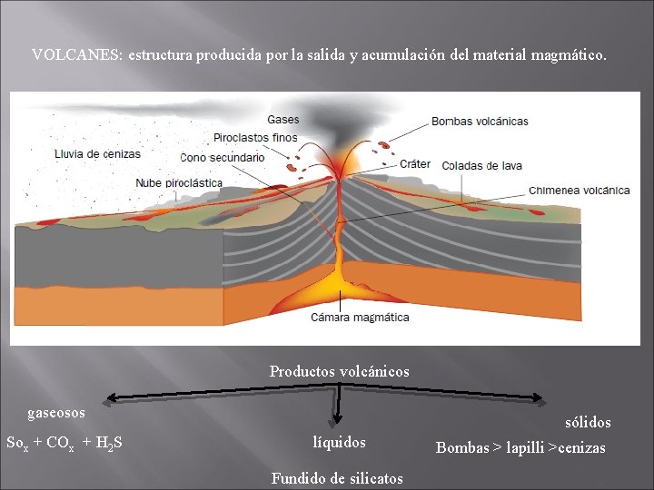 VOLCANES: estructura producida por la salida y acumulación del material magmático. Productos volcánicos gaseosos