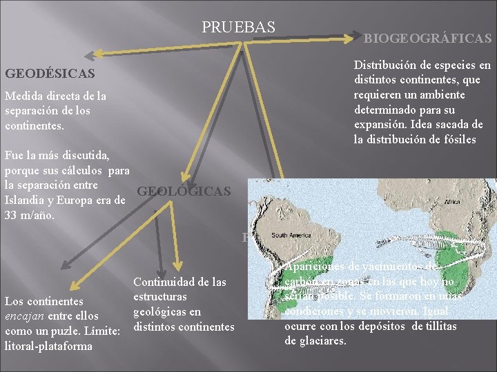 PRUEBAS GEODÉSICAS Medida directa de la separación de los continentes. BIOGEOGRÁFICAS Distribución de especies