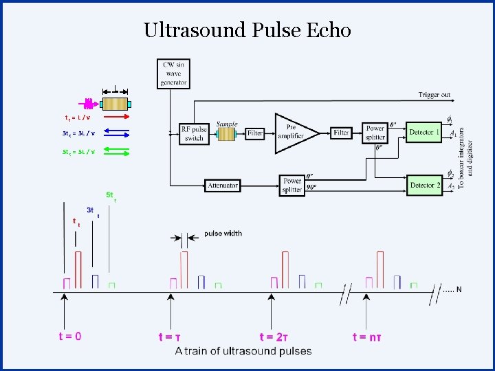 Ultrasound Pulse Echo L tt = L / v 3 t t = 3