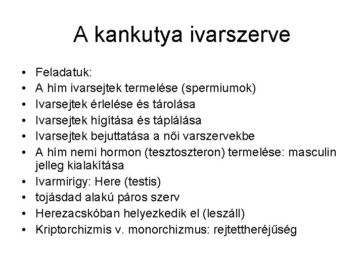 A kankutya ivarszerve • • • Feladatuk: A hím ivarsejtek termelése (spermiumok) Ivarsejtek érlelése A kankutya ivarszerve • • • Feladatuk: A hím ivarsejtek termelése (spermiumok) Ivarsejtek érlelése