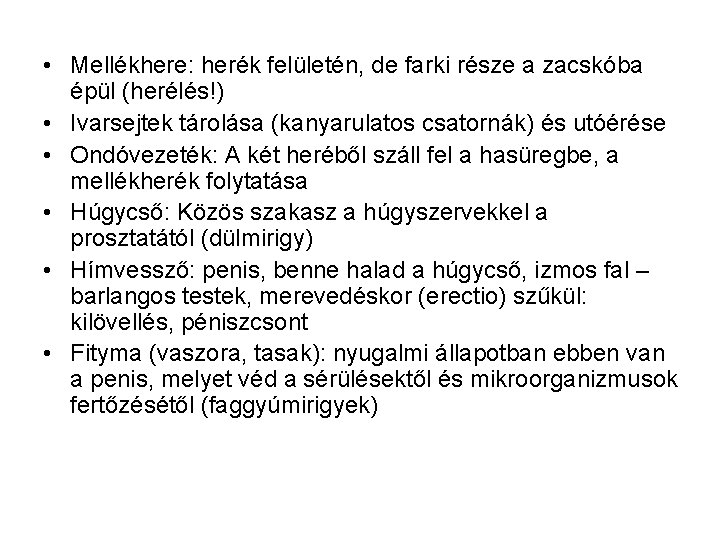 • Mellékhere: herék felületén, de farki része a zacskóba épül (herélés!) • Ivarsejtek • Mellékhere: herék felületén, de farki része a zacskóba épül (herélés!) • Ivarsejtek