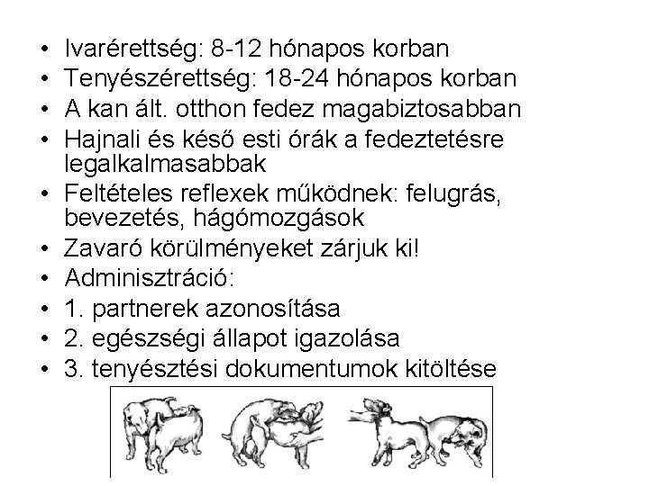 • • • Ivarérettség: 8 -12 hónapos korban Tenyészérettség: 18 -24 hónapos korban • • • Ivarérettség: 8 -12 hónapos korban Tenyészérettség: 18 -24 hónapos korban