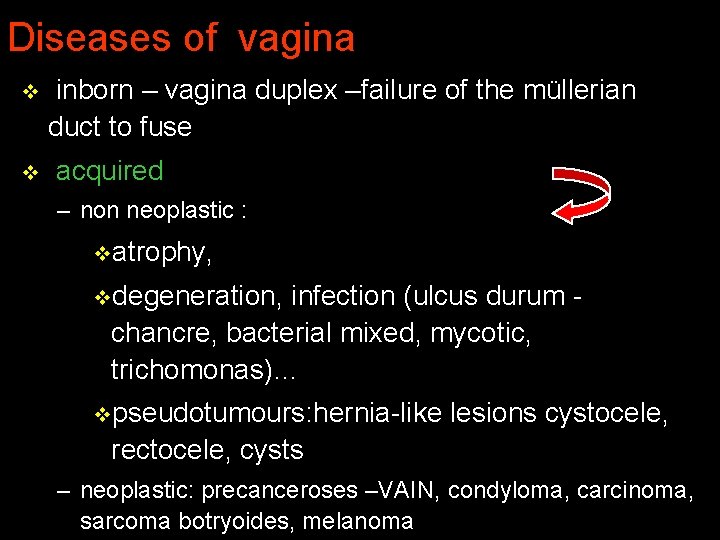 Diseases of vagina v v inborn – vagina duplex –failure of the müllerian duct