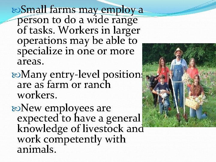  Small farms may employ a person to do a wide range of tasks.