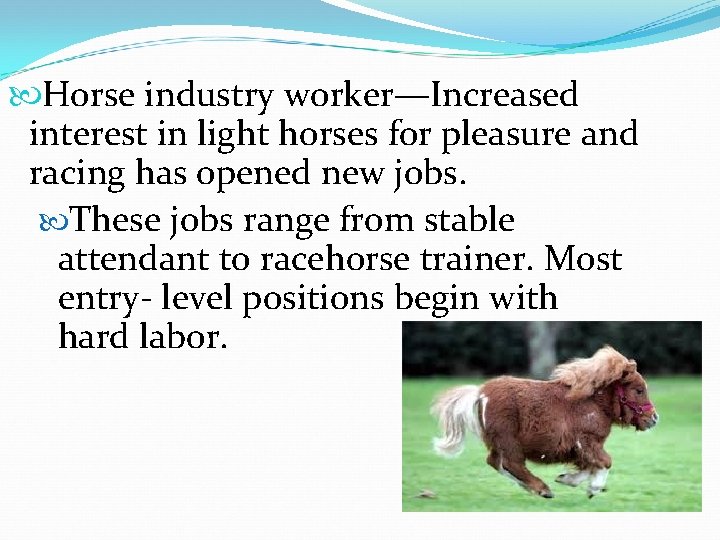  Horse industry worker—Increased interest in light horses for pleasure and racing has opened