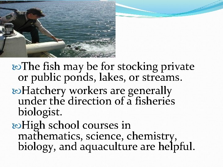  The fish may be for stocking private or public ponds, lakes, or streams.