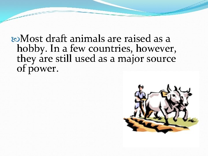  Most draft animals are raised as a hobby. In a few countries, however,