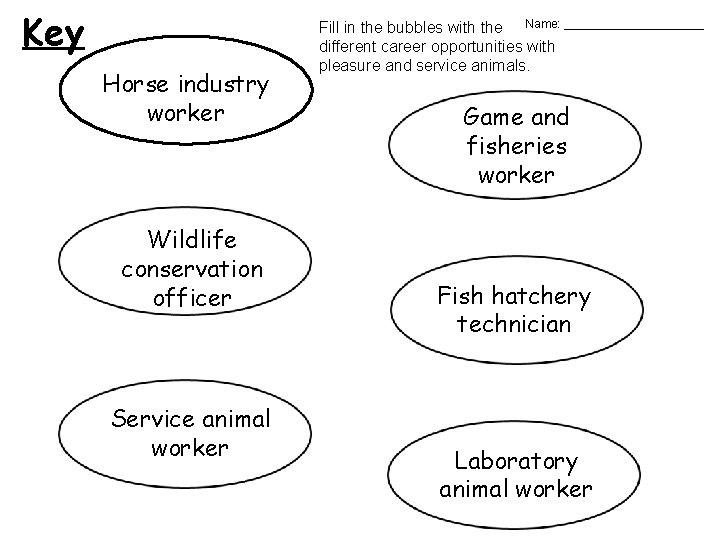 Key Horse industry worker Wildlife conservation officer Service animal worker Fill in the bubbles