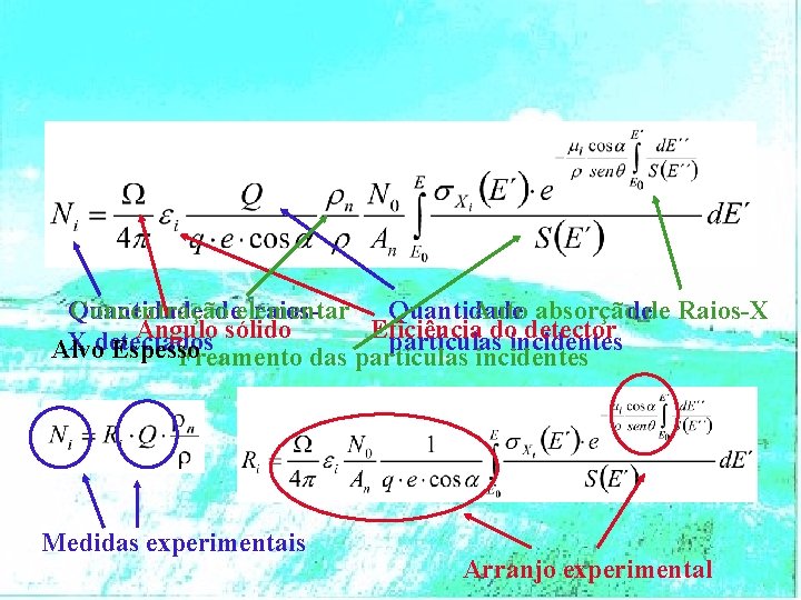 Quantidade deelementar raios. Quantidade Concentração Auto absorçãodede Raios-X ngulo sólido Eficiência doincidentes detector X