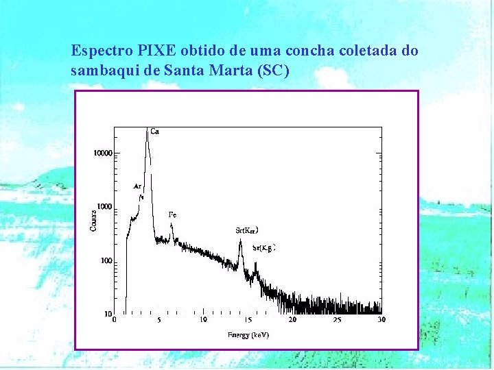 Espectro PIXE obtido de uma concha coletada do sambaqui de Santa Marta (SC) 