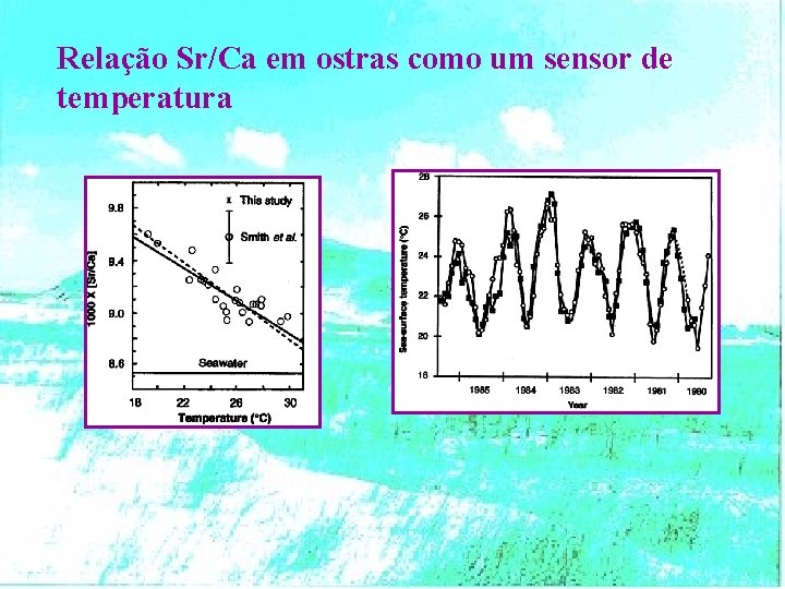 Relação Sr/Ca em ostras como um sensor de temperatura 