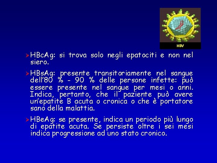 HBV ØHBc. Ag: siero. si trova solo negli epatociti e non nel ØHBs. Ag: