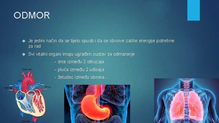 ODMOR Je jedini način da se tijelo opusti i da se obnove zalihe energije