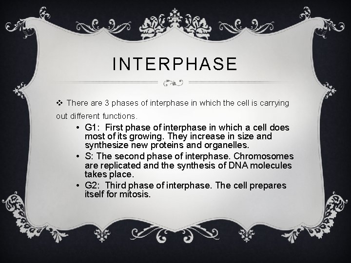 INTERPHASE v There are 3 phases of interphase in which the cell is carrying