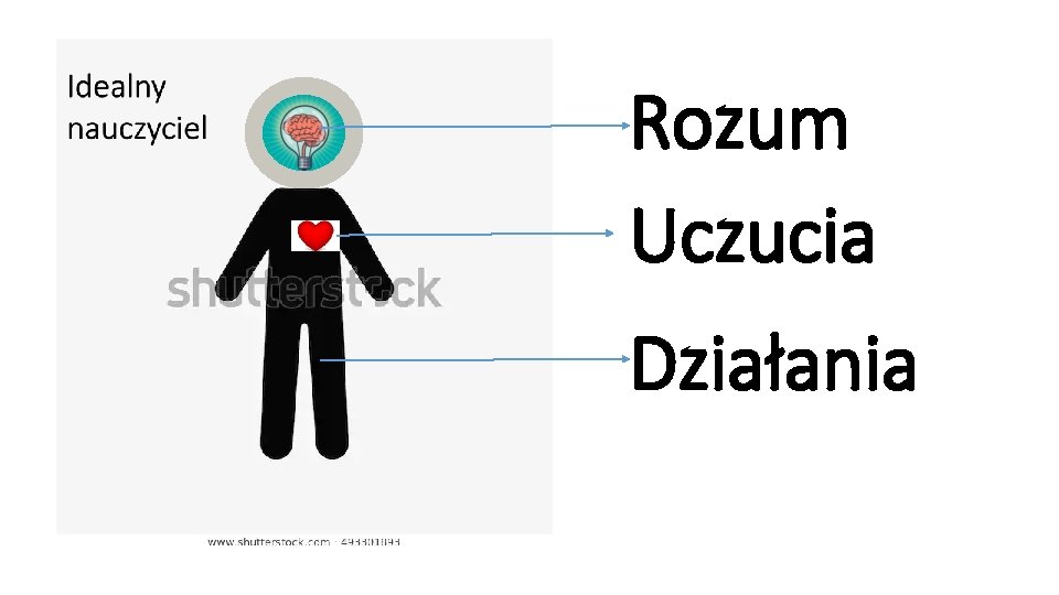 Rozum Uczucia Działania 