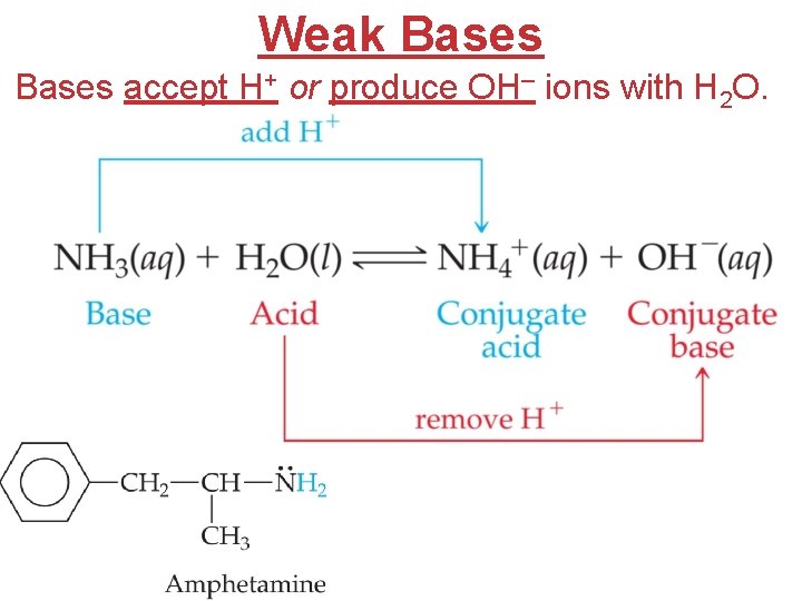 Weak Bases accept H+ or produce OH– ions with H 2 O. 