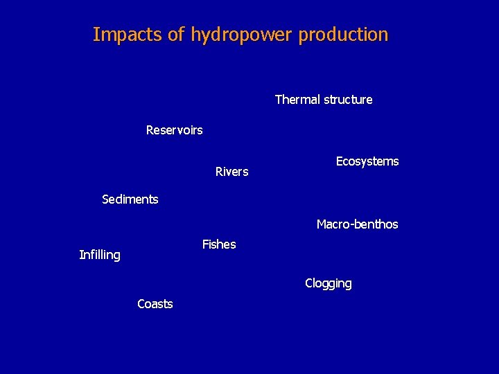 Impacts of hydropower production Thermal structure Reservoirs Rivers Ecosystems Sediments Macro-benthos Fishes Infilling Clogging