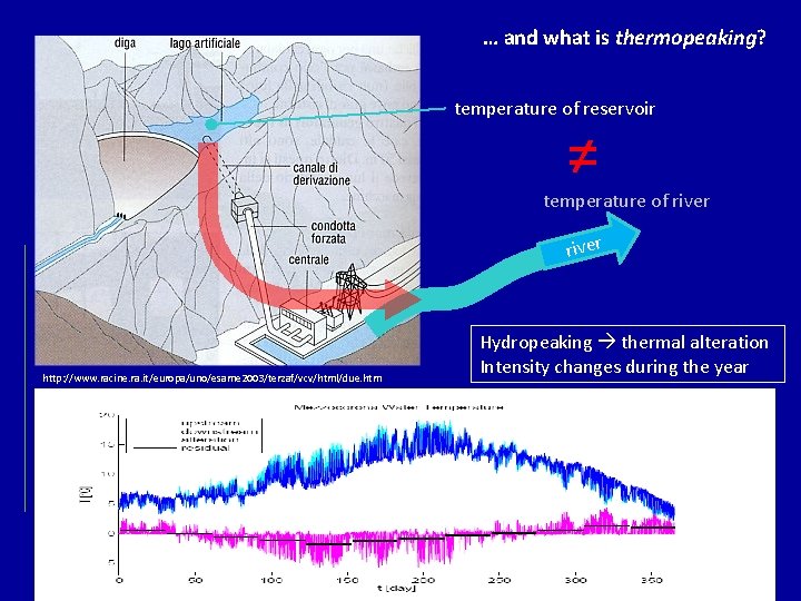 … and what is thermopeaking? temperature of reservoir ≠ temperature of river http: //www.