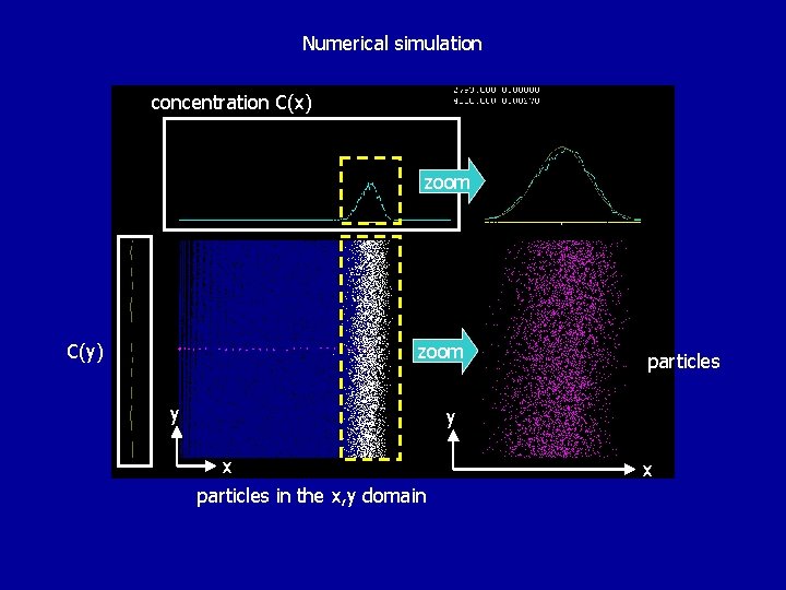 Numerical simulation concentration C(x) zoom C(y) zoom y particles y x particles in the