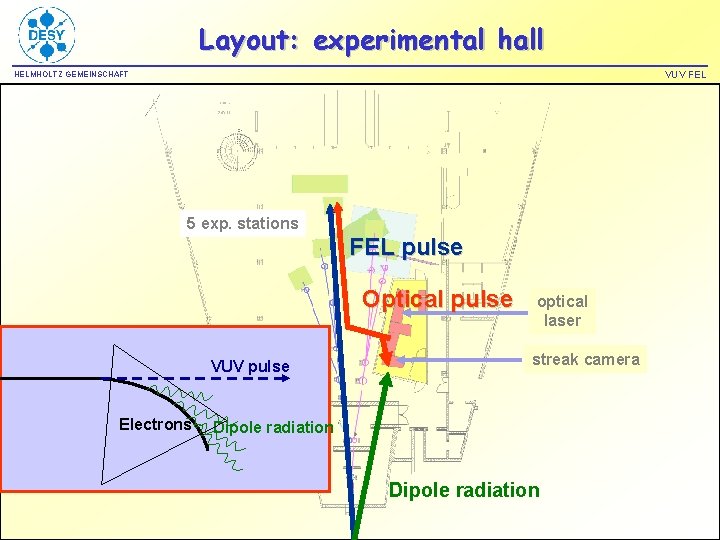 Layout: experimental hall VUV FEL HELMHOLTZ GEMEINSCHAFT 5 exp. stations FEL pulse Optical pulse