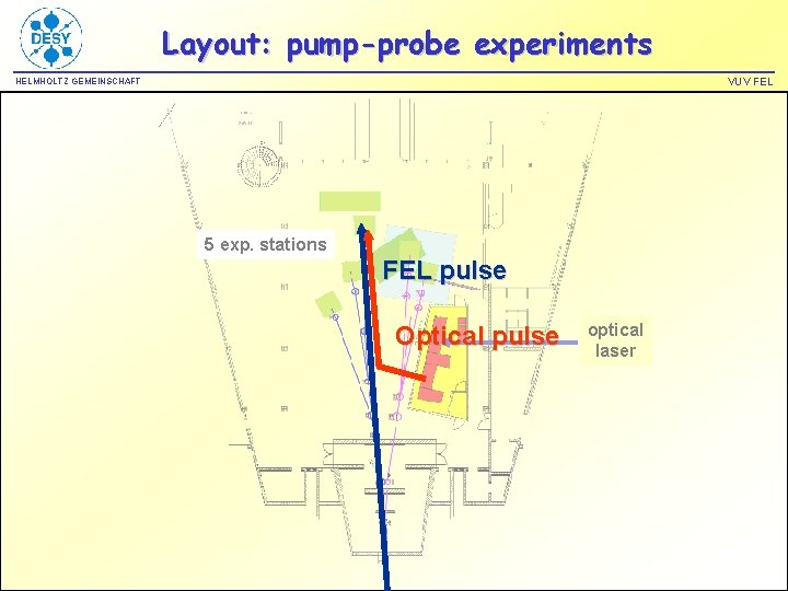 Layout: pump-probe experiments VUV FEL HELMHOLTZ GEMEINSCHAFT 5 exp. stations FEL pulse Optical pulse