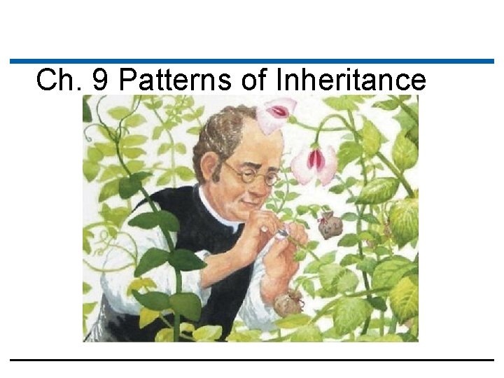 Ch. 9 Patterns of Inheritance Ch. 9 Patterns of Inheritance