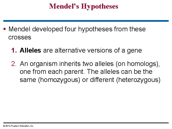 Mendel’s Hypotheses Mendel developed four hypotheses from these crosses 1. Alleles are alternative versions Mendel’s Hypotheses Mendel developed four hypotheses from these crosses 1. Alleles are alternative versions