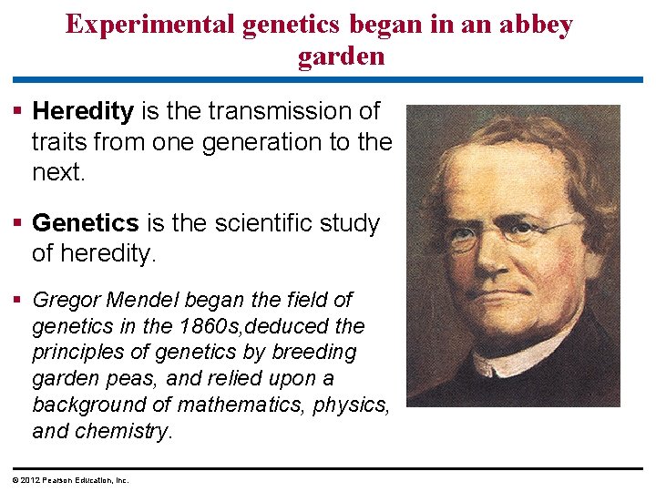 Experimental genetics began in an abbey garden Heredity is the transmission of traits from Experimental genetics began in an abbey garden Heredity is the transmission of traits from