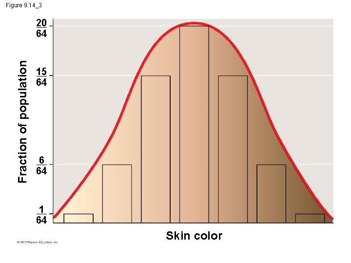 Figure 9. 14_3 Fraction of population 20 64 15 64 6 64 1 64 Figure 9. 14_3 Fraction of population 20 64 15 64 6 64 1 64