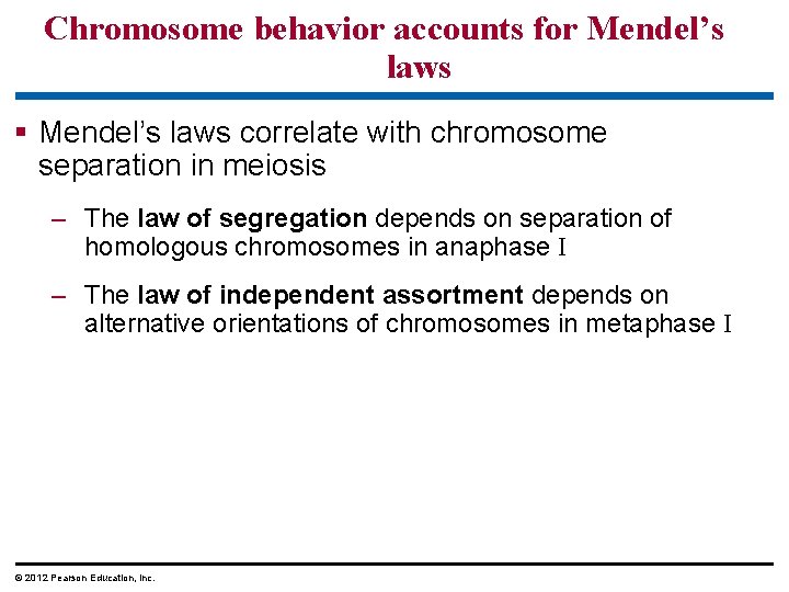 Chromosome behavior accounts for Mendel’s laws correlate with chromosome separation in meiosis – The Chromosome behavior accounts for Mendel’s laws correlate with chromosome separation in meiosis – The