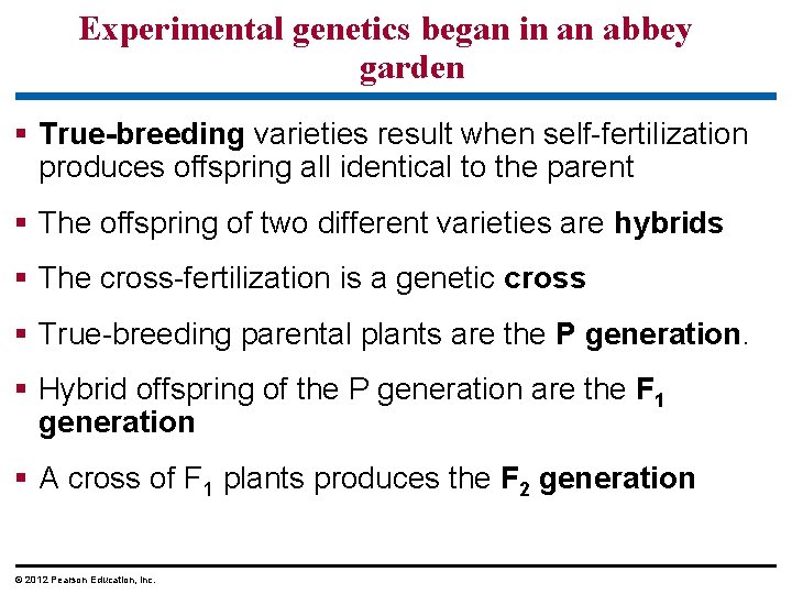 Experimental genetics began in an abbey garden True-breeding varieties result when self-fertilization produces offspring Experimental genetics began in an abbey garden True-breeding varieties result when self-fertilization produces offspring