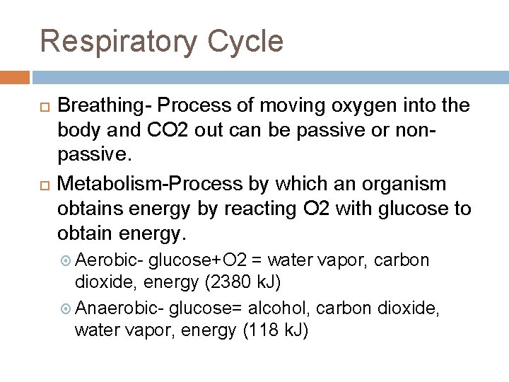 Respiratory Cycle Breathing- Process of moving oxygen into the body and CO 2 out