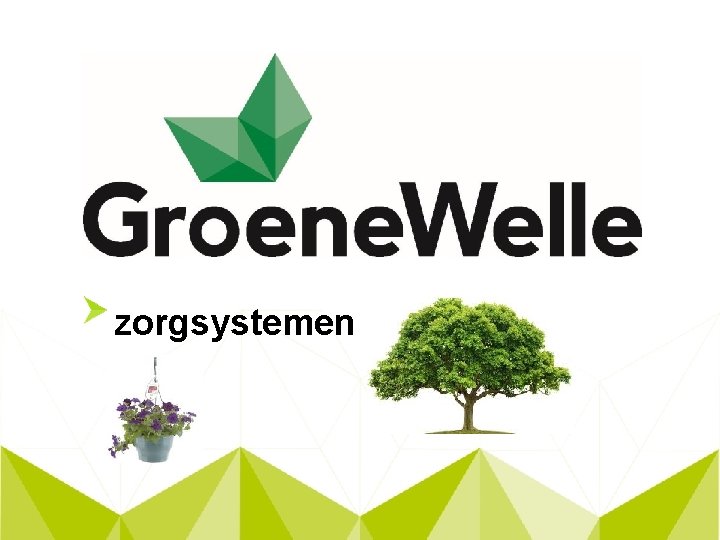 zorgsystemen 